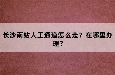 长沙南站人工通道怎么走？在哪里办理？