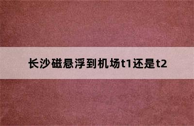 长沙磁悬浮到机场t1还是t2