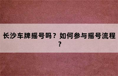 长沙车牌摇号吗？如何参与摇号流程？