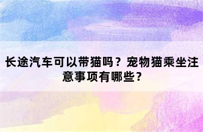 长途汽车可以带猫吗？宠物猫乘坐注意事项有哪些？