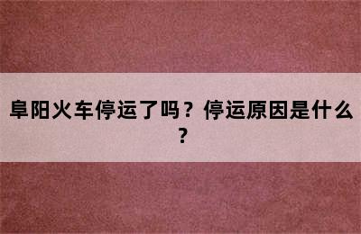 阜阳火车停运了吗？停运原因是什么？