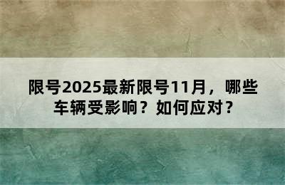 限号2025最新限号11月，哪些车辆受影响？如何应对？