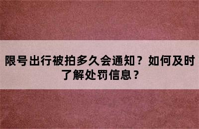 限号出行被拍多久会通知？如何及时了解处罚信息？