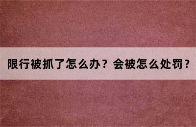 限行被抓了怎么办？会被怎么处罚？