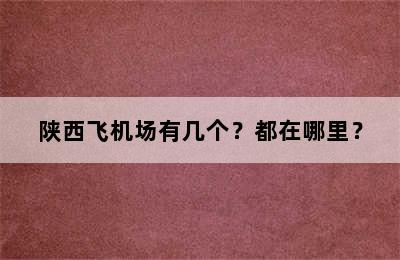 陕西飞机场有几个？都在哪里？