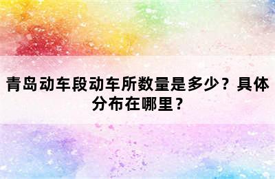 青岛动车段动车所数量是多少？具体分布在哪里？