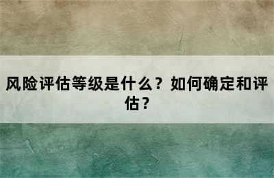 风险评估等级是什么？如何确定和评估？