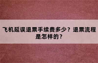 飞机延误退票手续费多少？退票流程是怎样的？