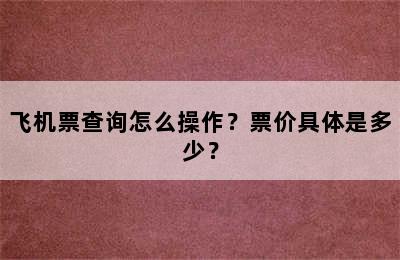 飞机票查询怎么操作？票价具体是多少？