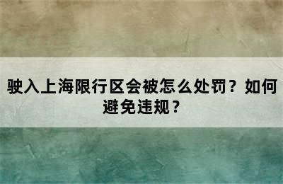 驶入上海限行区会被怎么处罚？如何避免违规？