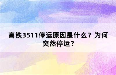 高铁3511停运原因是什么？为何突然停运？