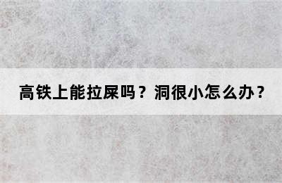 高铁上能拉屎吗？洞很小怎么办？