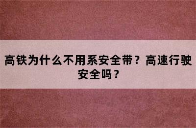 高铁为什么不用系安全带？高速行驶安全吗？