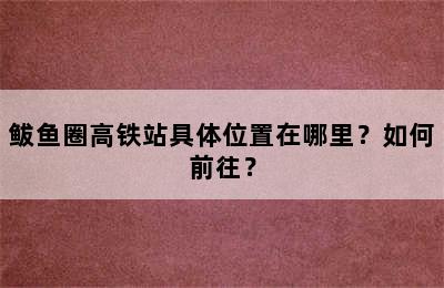 鲅鱼圈高铁站具体位置在哪里？如何前往？
