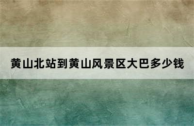 黄山北站到黄山风景区大巴多少钱