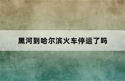 黑河到哈尔滨火车停运了吗