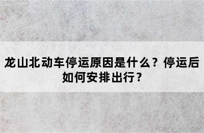 龙山北动车停运原因是什么？停运后如何安排出行？